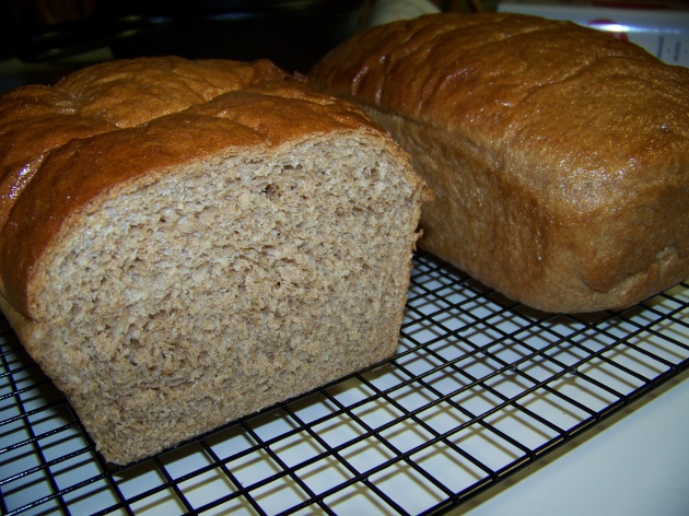 Homemade Whole Wheat Sandwich Bread